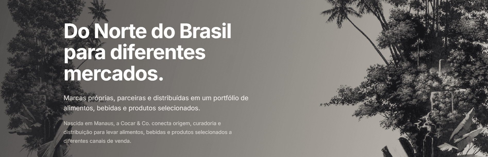 Do Norte do Brasil para diferentes mercados. Marcas próprias, parceiras e distribuídas em um portfólio de alimentos, bebidas e produtos selecionados. Nascida em Manaus, a Cocar & Co. conecta origem, curadoria e distribuição para levar alimentos, bebidas e produtos selecionados a diferentes canais de venda.